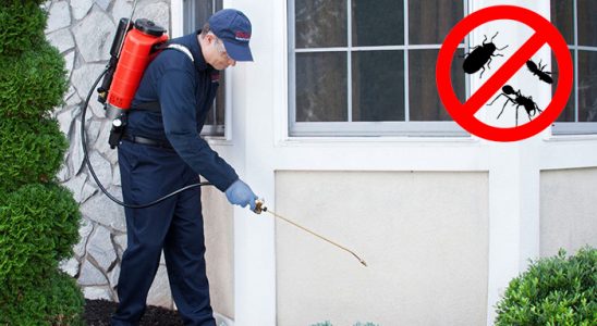 Gülyalı Tahtakurusu İlaçlama böcek ilaçlama ve haşere kontrolü — ilaclama-tr.com
